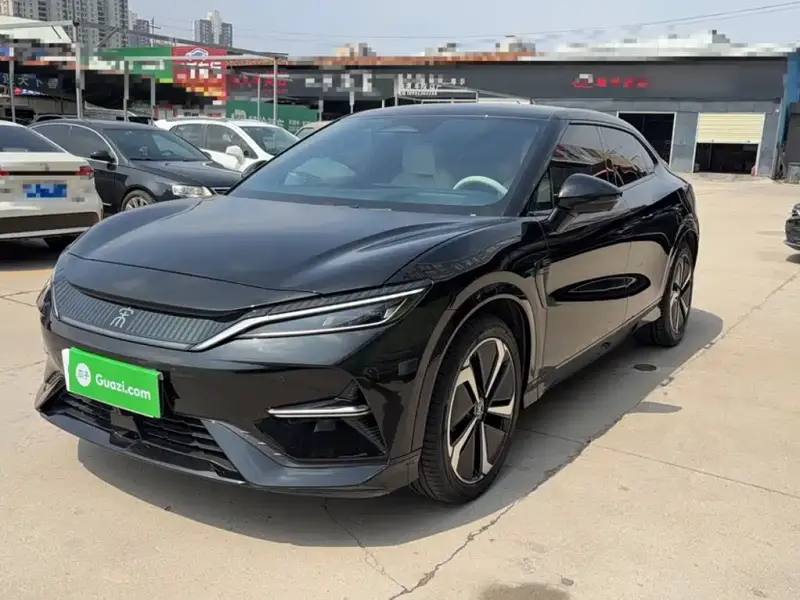 BYD L EV