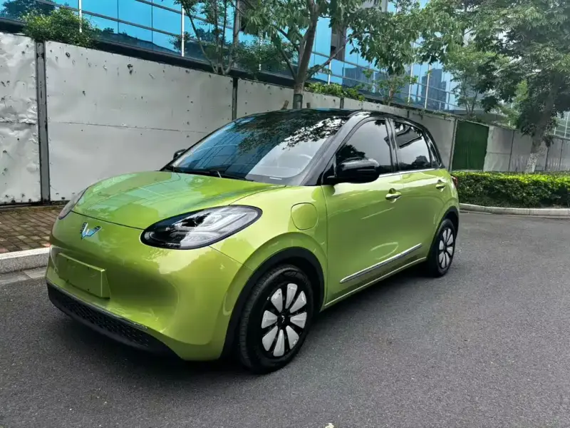 Wuling Bingo