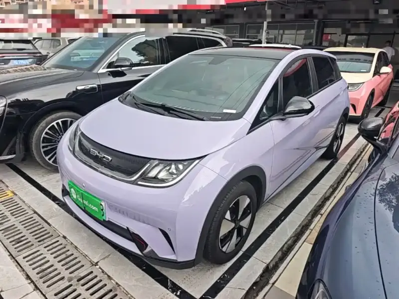 BYD Dolphin
