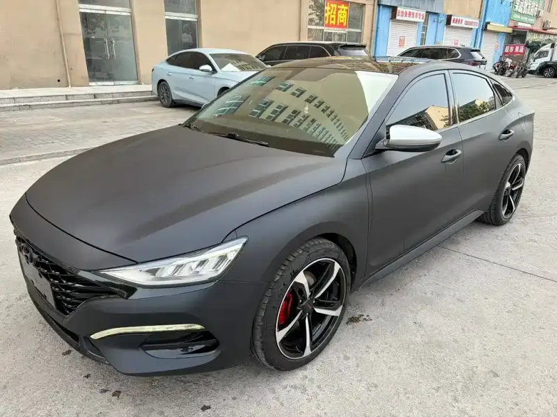 Hyundai Fista