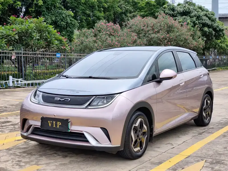 BYD Dolphin