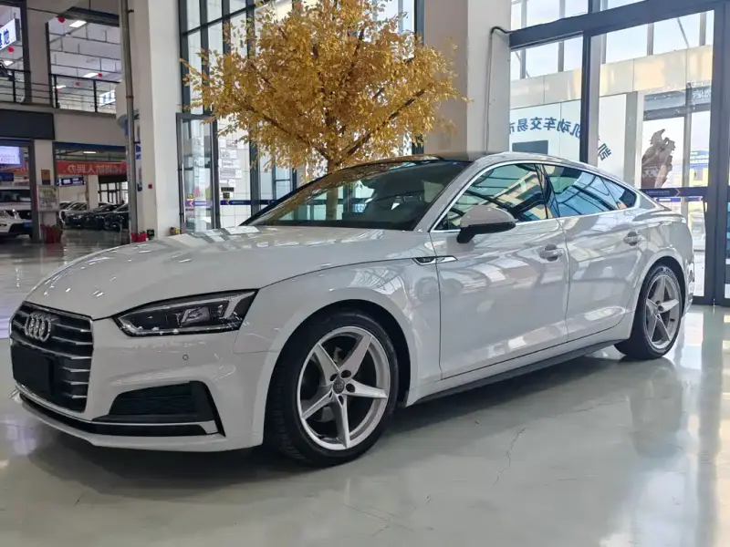 Audi A5 (Import)