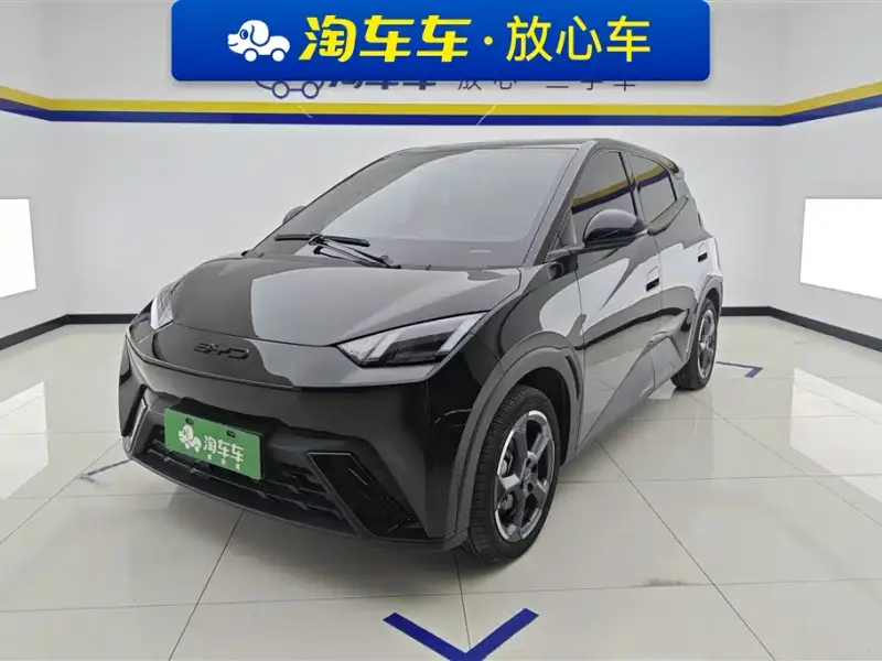 BYD Seagull