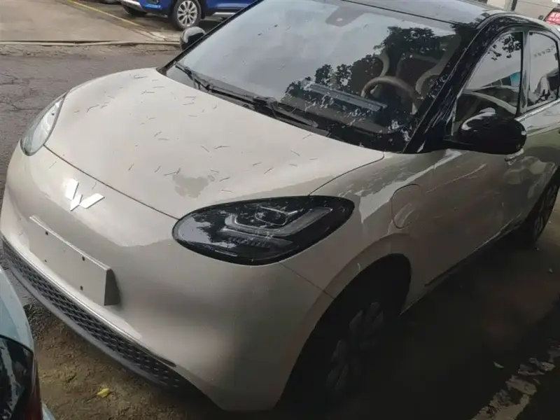 Wuling Bingo