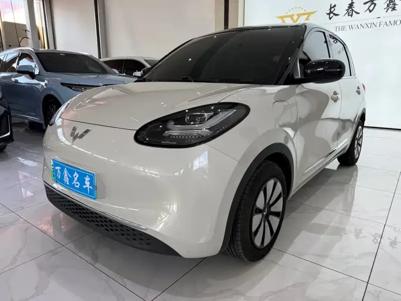 Wuling Bingo