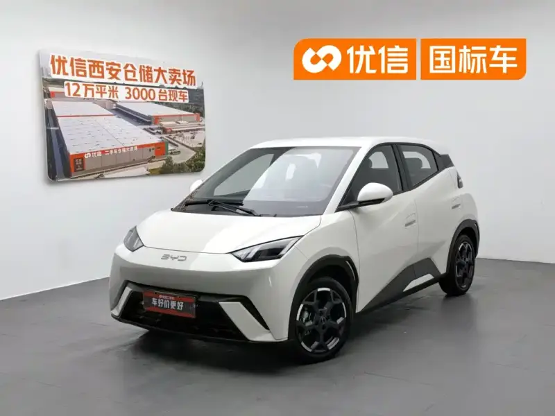 BYD Seagull