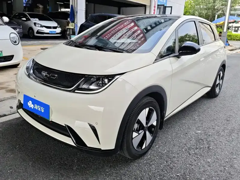 BYD Dolphin