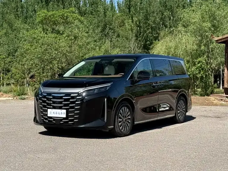 BYD Xia