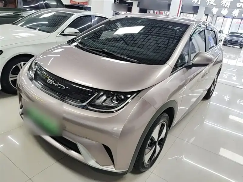 BYD Dolphin