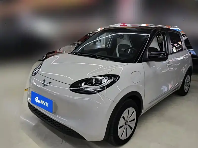 Wuling Bingo
