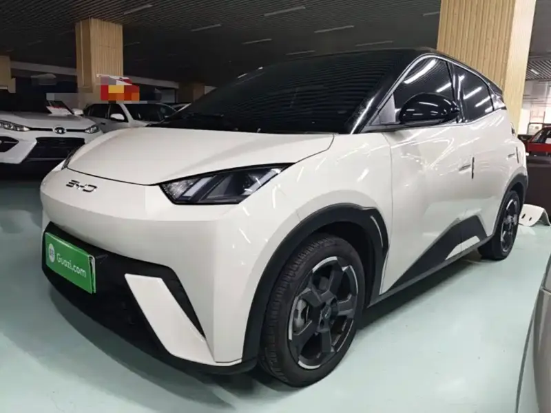 BYD Seagull