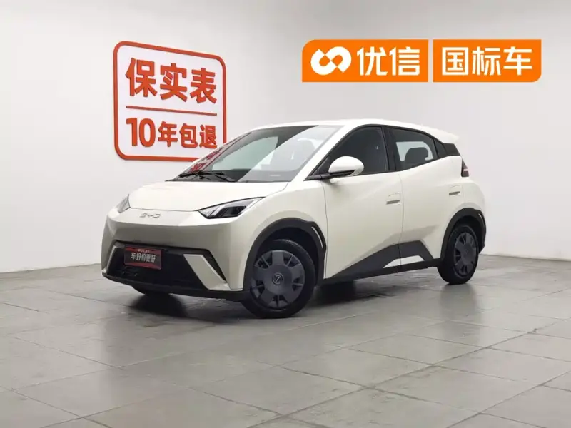 BYD Seagull