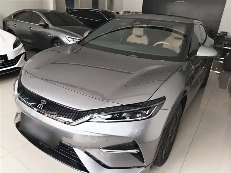 BYD L EV