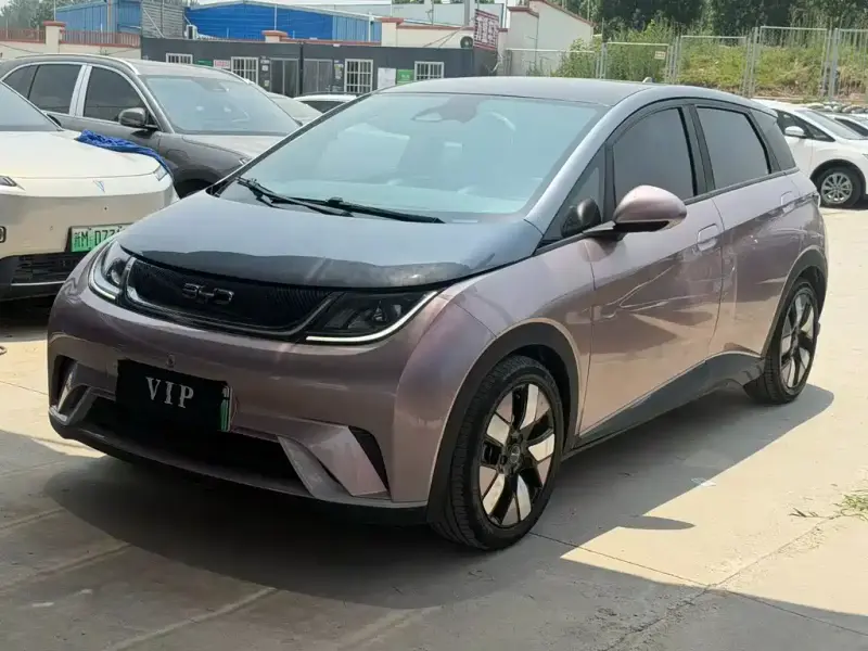 BYD Dolphin