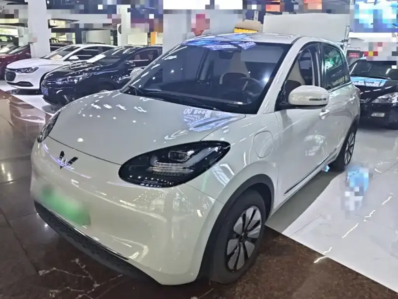 Wuling Bingo