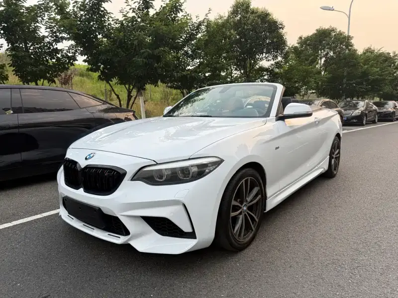 BMW 2 Series (Import)