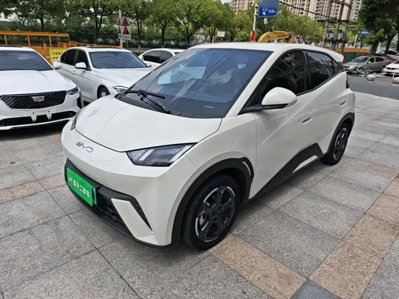 BYD Seagull