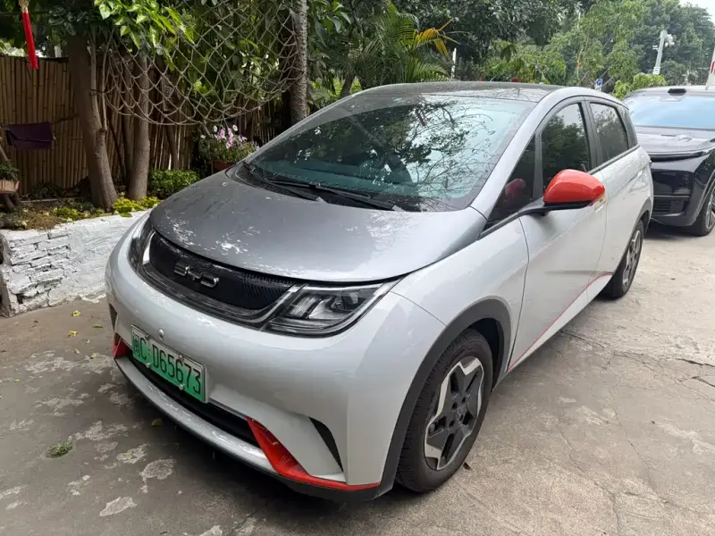 BYD Dolphin