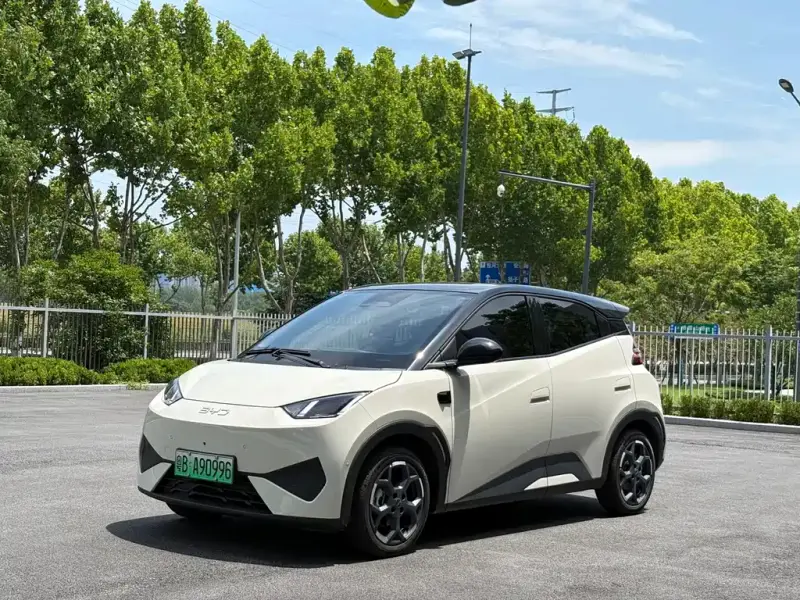 BYD Seagull