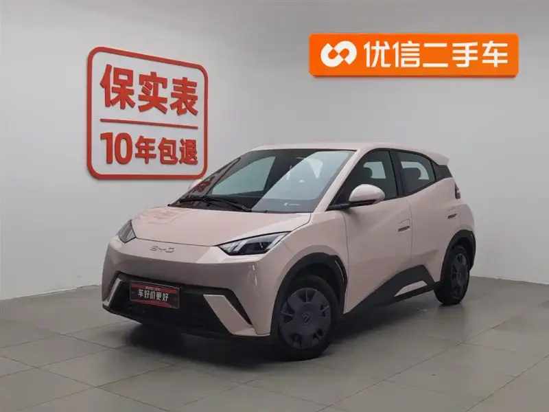 BYD Seagull