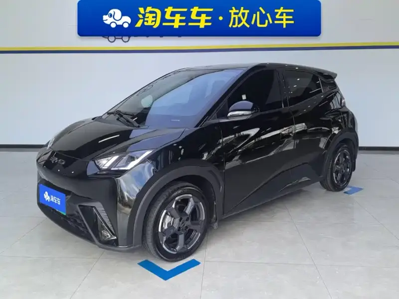 BYD Seagull