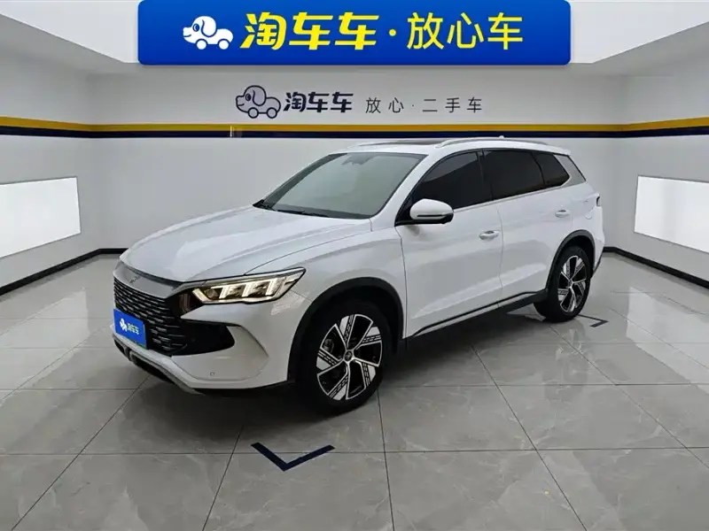 BYD Pro New Energy