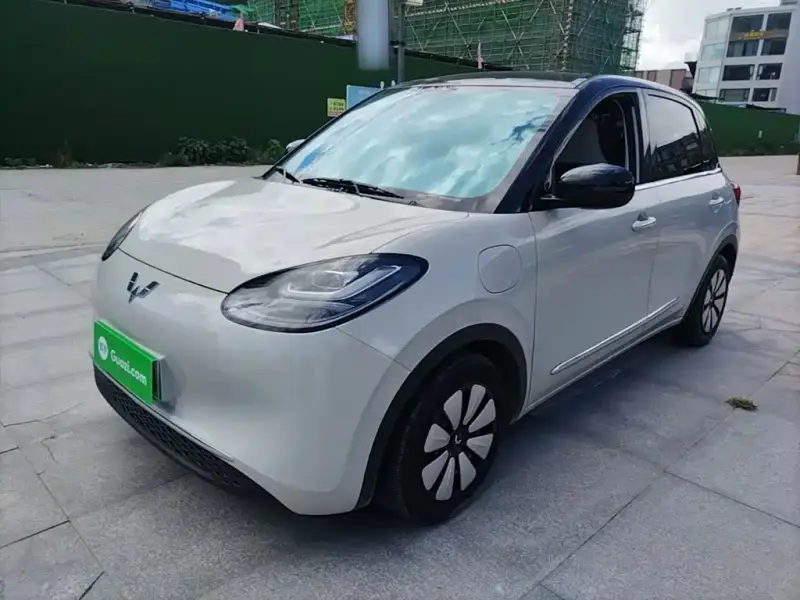 Wuling Bingo