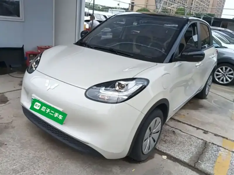Wuling Bingo