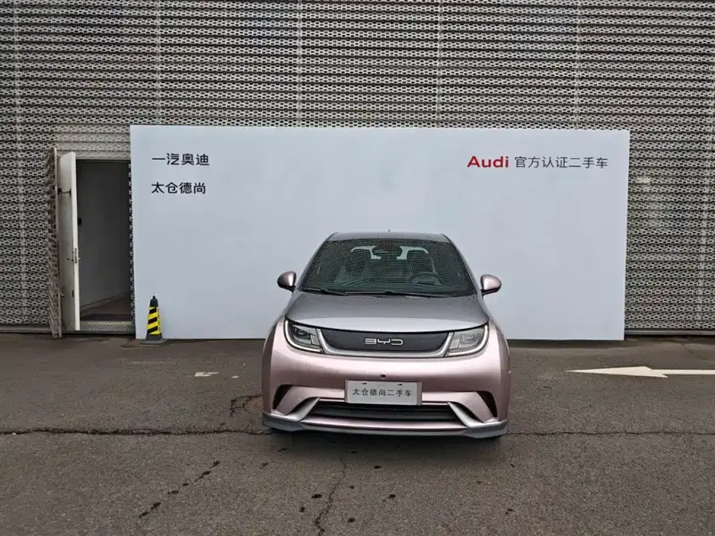 BYD Dolphin