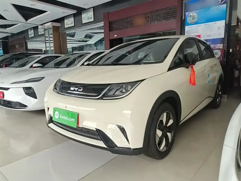 BYD Dolphin