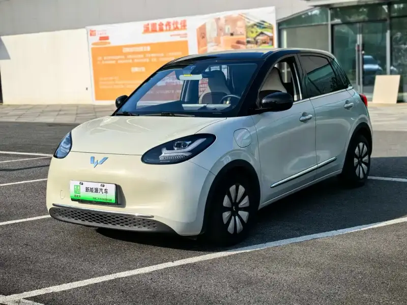 Wuling Bingo
