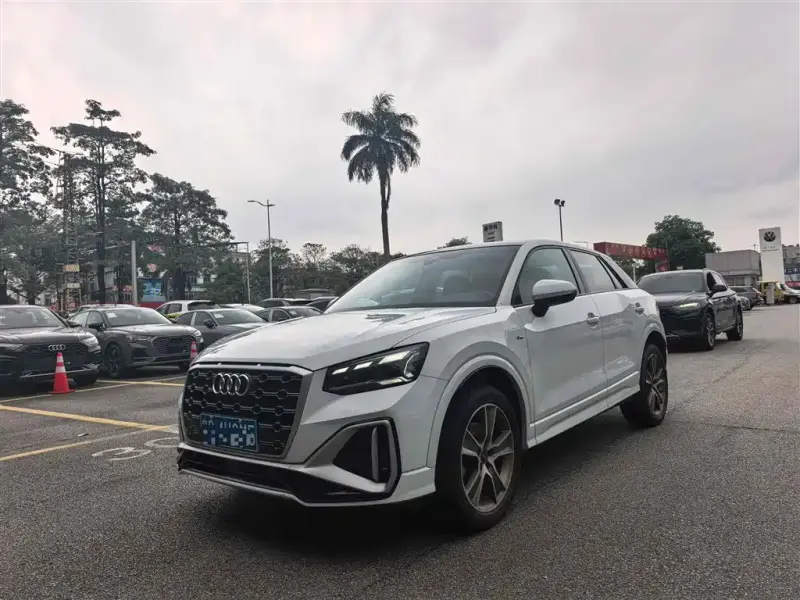 Audi Q2L