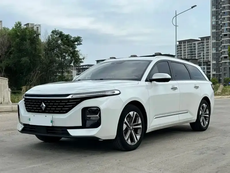 Baojun Valli