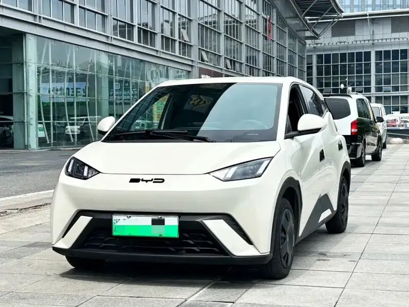 BYD Seagull