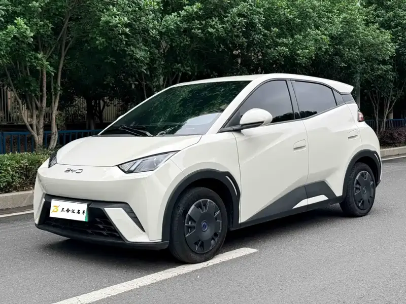 BYD Seagull