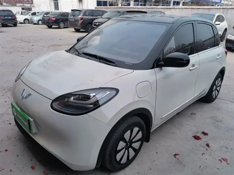 Wuling Bingo