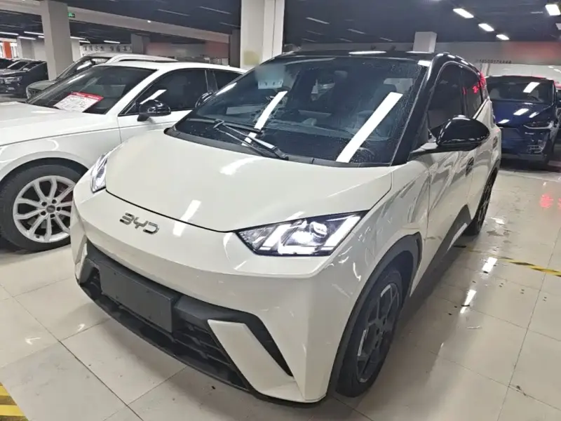 BYD Seagull