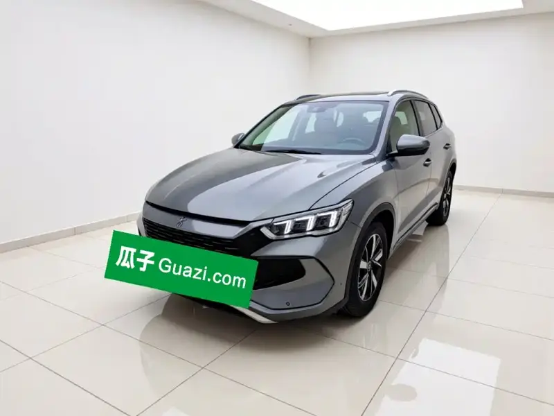BYD Pro
