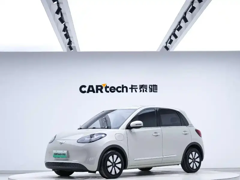 Wuling Bingo