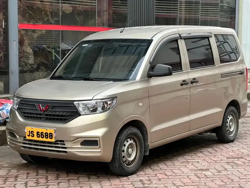 Wuling Hongguang V