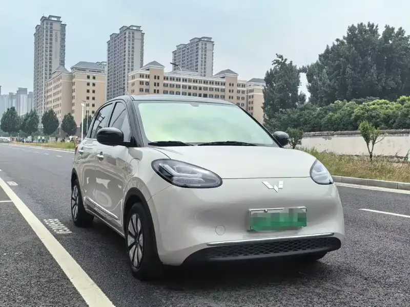 Wuling Bingo