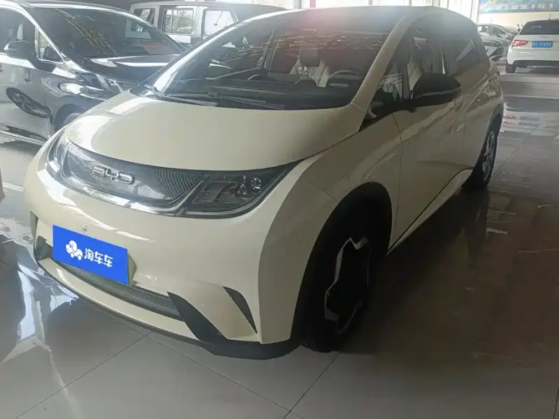 BYD Dolphin