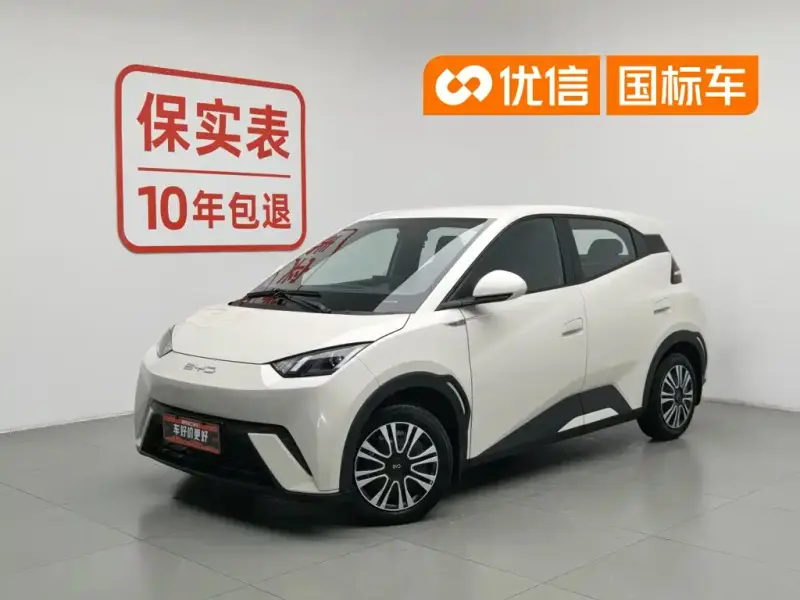 BYD Seagull