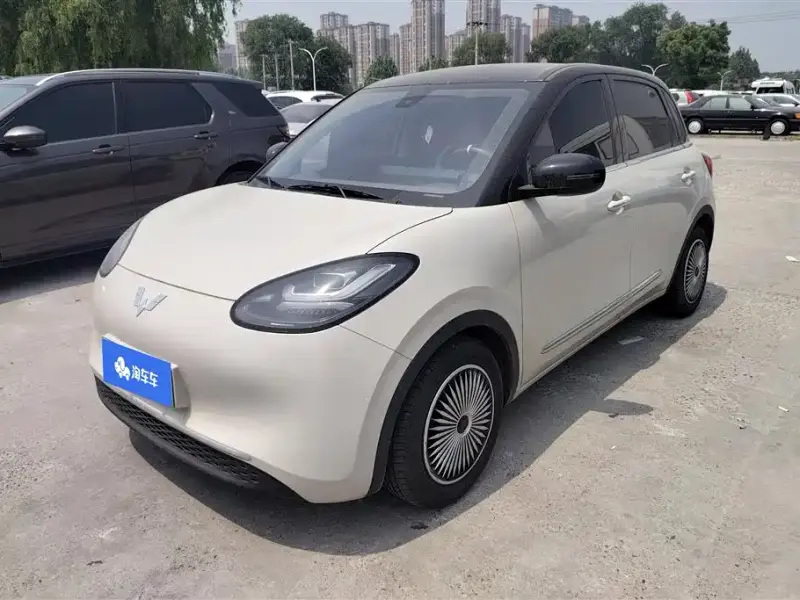 Wuling Bingo