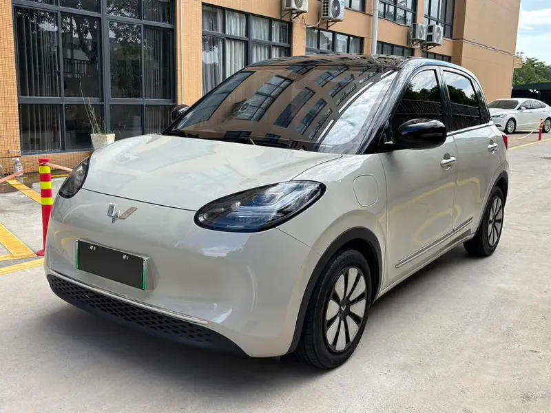 Wuling Bingo