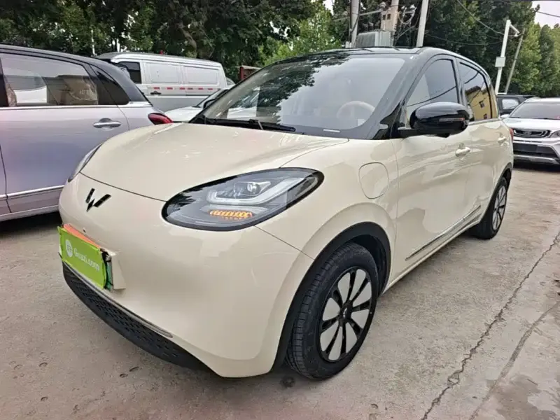 Wuling Bingo