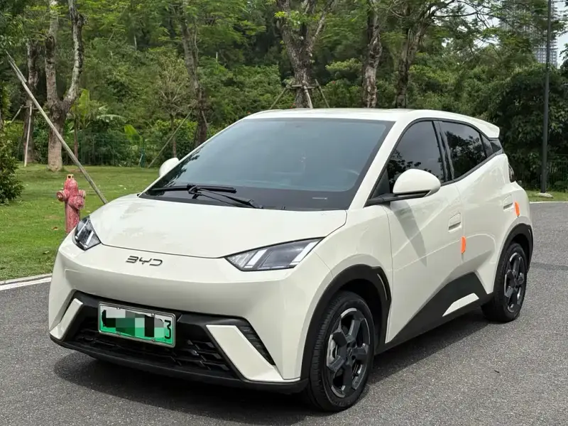 BYD Seagull