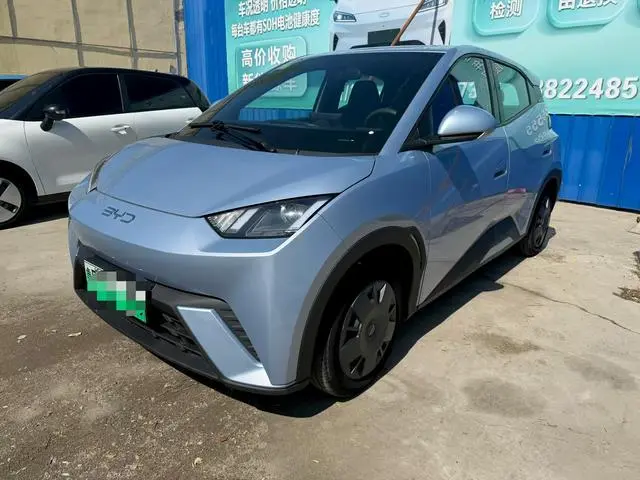 BYD Seagull