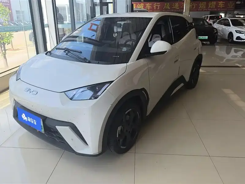 BYD Seagull