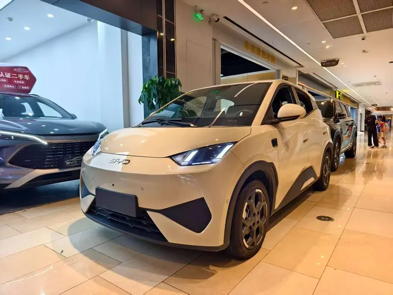 BYD Seagull